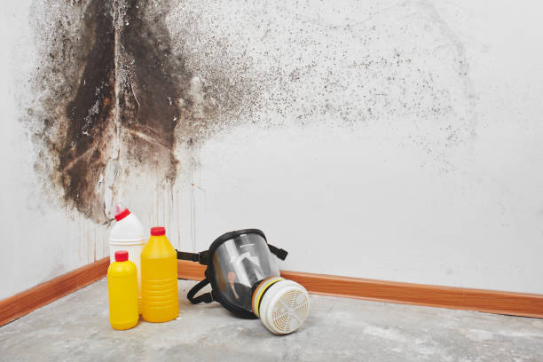 Best Industrial Mold Remediation in Lauderdale Lakes, WI