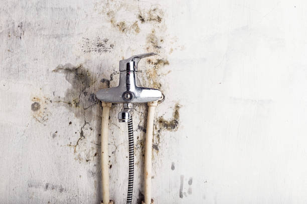 Best Commercial Mold Remediation in Lauderdale Lakes, WI