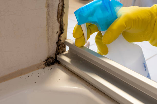 Best Preventive Mold Services in Lauderdale Lakes, WI