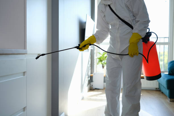 Best Mold Testing and Inspection Services in Lauderdale Lakes, WI