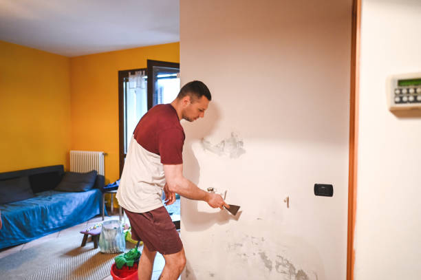 Best Post-Remediation Services in Lauderdale Lakes, WI