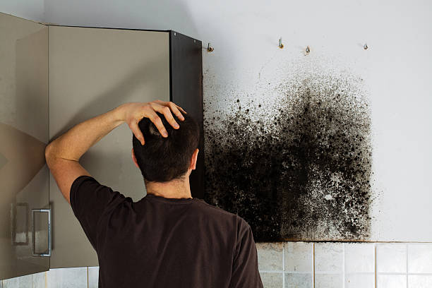 Best HVAC Mold Remediation in Lauderdale Lakes, WI