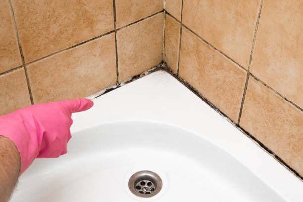 Best Bathroom Mold Remediation in Lauderdale Lakes, WI